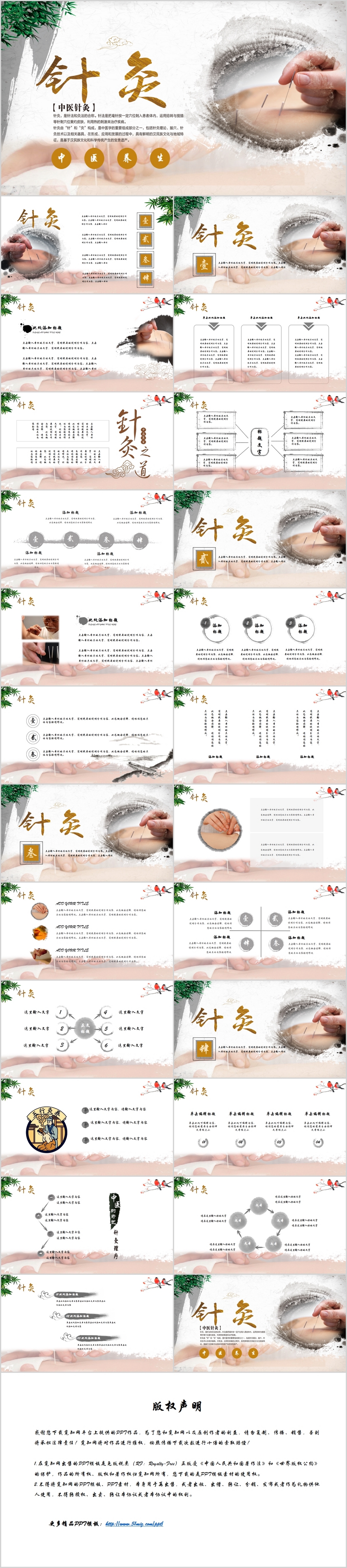 中国传统文化中国风中医针灸养生PPT模板