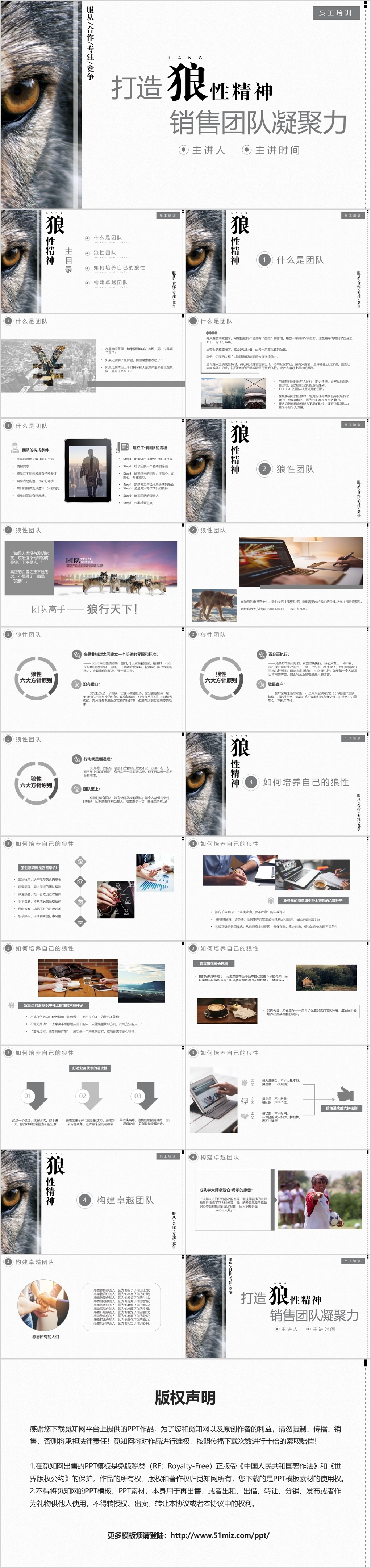 商务简约企业员工培训之打造狼性精神营销团队凝聚力课件ppt