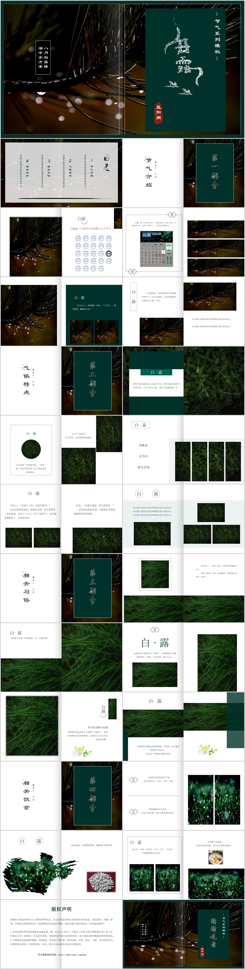 暗绿色中国风植物露水背景二十四节气之白露节气主题PPT模板