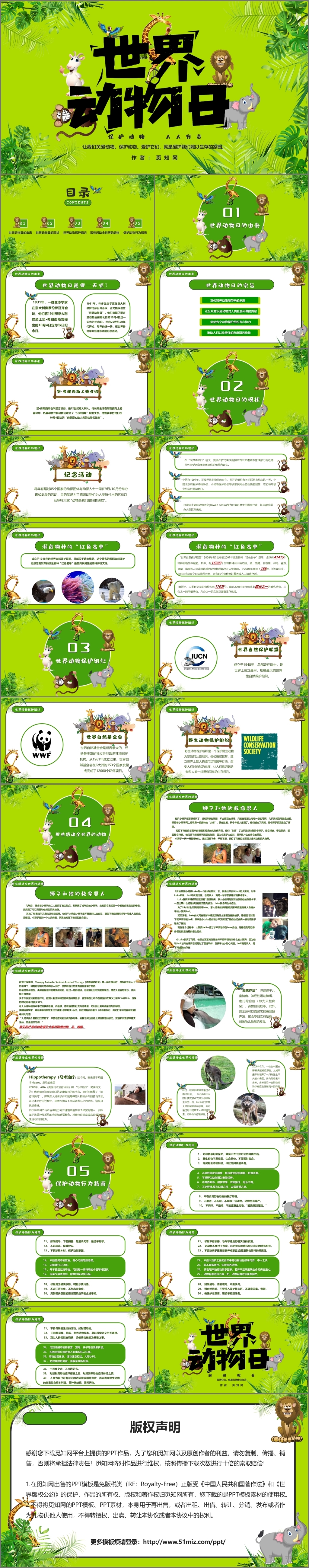 儿童卡通动物小清新世界动物日保护动物PPT模板