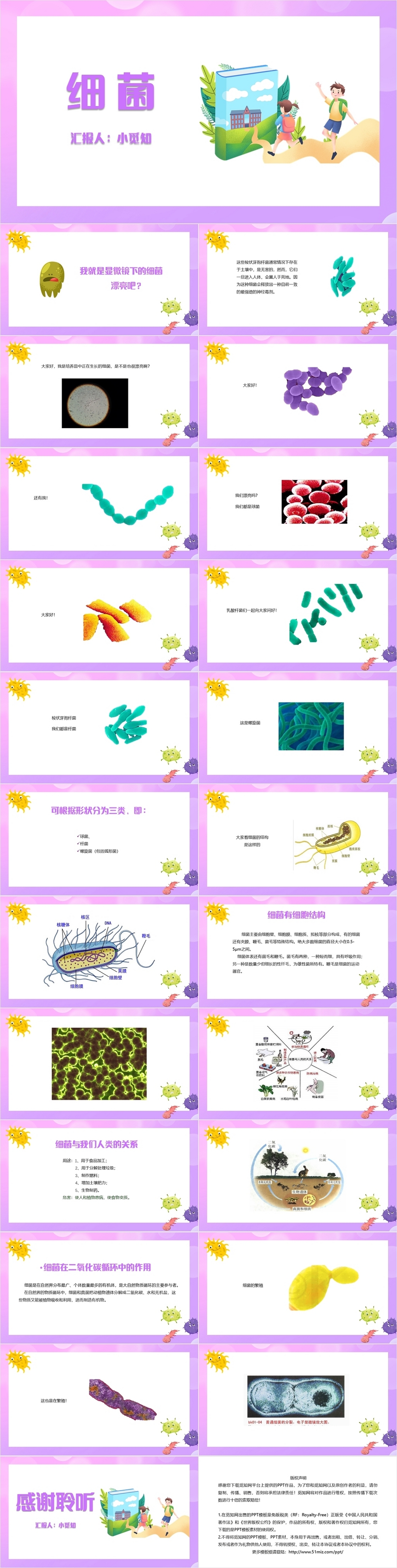 紫色卡通细菌教学课件知识讲解细菌PPT模板细菌ppt